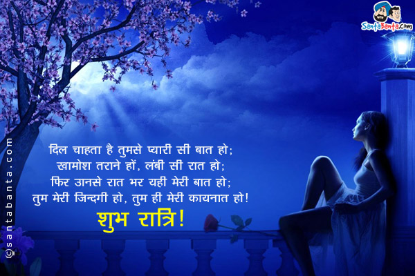 दिल चाहता है तुमसे प्यारी सी बात हो;<br/>
खामोश तराने हों, लंबी सी रात हो;<br/>
फिर उनसे रात भर यही मेरी बात हो;<br/>
तुम मेरी ज़िंदगी हो, तुम ही मेरी कायनात हो।<br/>
शुभ रात्रि!