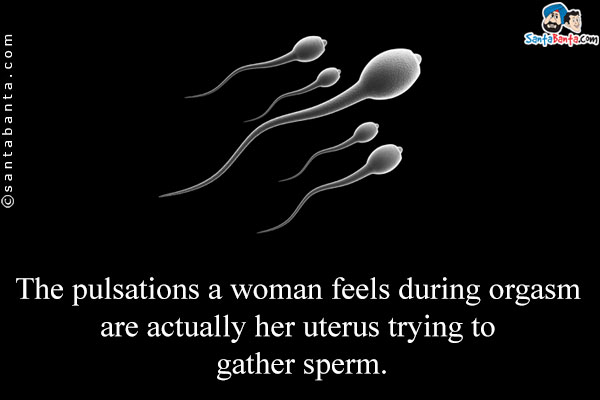 The pulsations a woman feels during orgasm are actually her uterus trying to gather sperm.