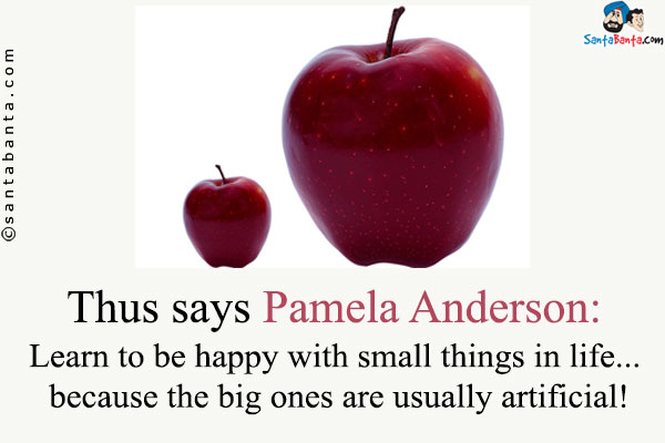 Thus says Pamela Anderson:<br />
Learn to be happy with small things in life... because the big ones are usually artificial!