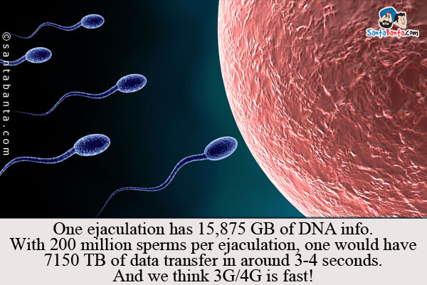 One ejaculation has 15,875 GB of DNA info.<br />
With 200 million sperms per ejaculation, one would have 7150 TB of data transfer in around 3-4 seconds.<br />
And we think 3G/4G is fast!