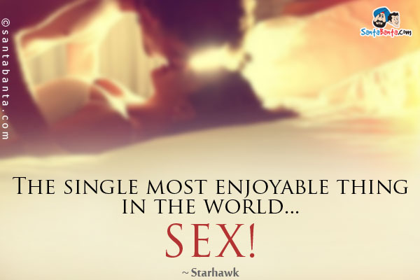 The single most enjoyable thing in the world... SEX!