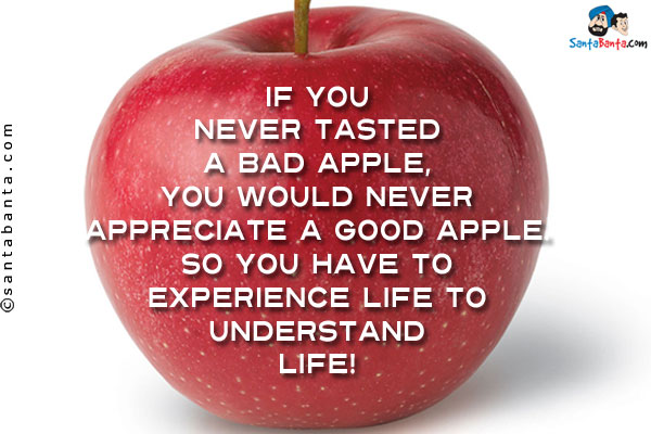 If you never tasted a bad apple, you would never appreciate a good apple.<br/>
So you have to experience life to understand life!