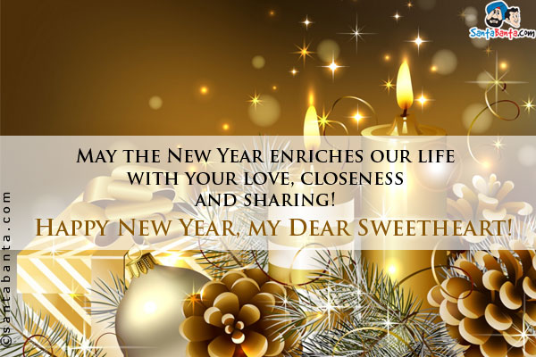 May the New Year enriches our life with your love, closeness and sharing!<br />
Happy New Year, My Dear Sweetheart!