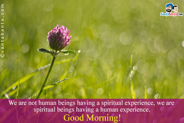 We are not human beings having a spiritual experience, we are
spiritual beings having a human experience.<br />
Good Morning!