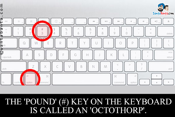 The 'pound' (#) key on the keyboard is called an 'octothorp'.