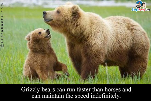 Grizzly bears can run faster than horses and can maintain the speed indefinitely.