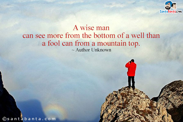 A wise man can see more from the bottom of a well than a fool can from a mountain top.