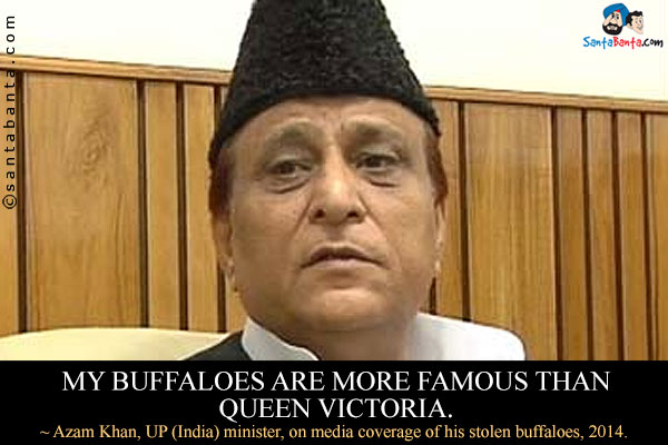 My buffaloes are more famous than Queen Victoria.