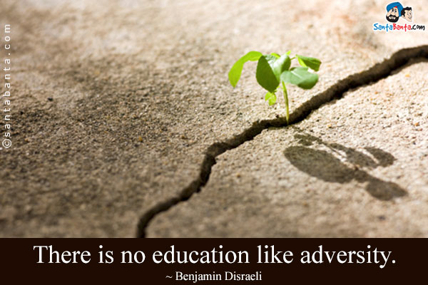 There is no education like adversity.