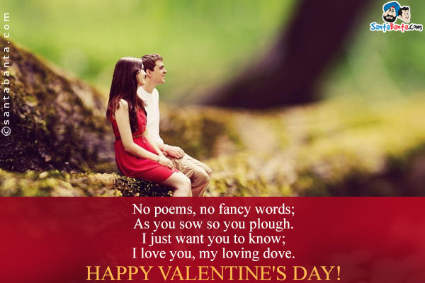 No poems, no fancy words;<br/>
As you sow so you plough.<br/>
I just want you to know;<br/>
I love you, my loving dove.<br/>
Happy Valentine's Day!