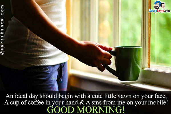 An ideal day should begin with a cute little yawn on your face,<br/>
A cup of coffee in your hand & A sms from me on your mobile!<br/>
Good Morning.