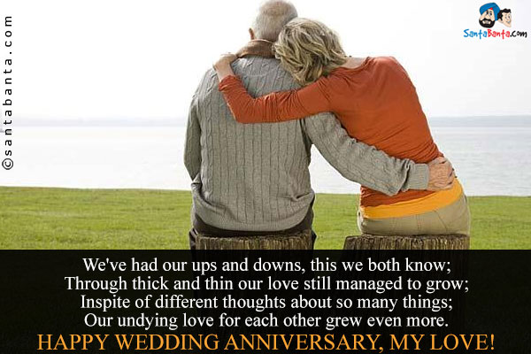 We've had our ups and downs, this we both know;<br/>
Through thick and thin our love still managed to grow;<br/>
Inspite of different thoughts about so many things;<br/>
Our undying love for each other grew even more.<br/>
Happy wedding anniversary, my love!