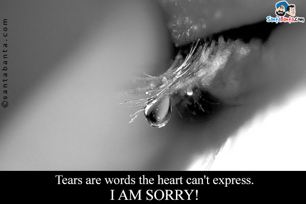 Tears are words the heart can't express.<br />
I am Sorry!