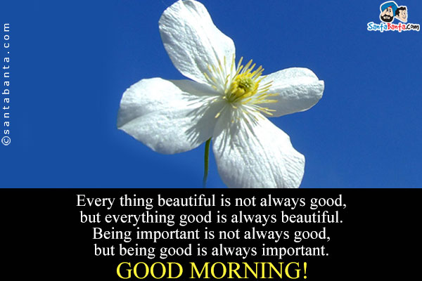 Every thing beautiful is not always good, but every thing good is always beautiful.<br/>
Being important is not always good, but being good is always important.<br/>
Good Morning!