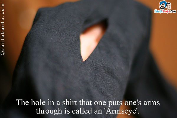 The hole in a shirt that one puts one's arms through is called an 'Armseye'.