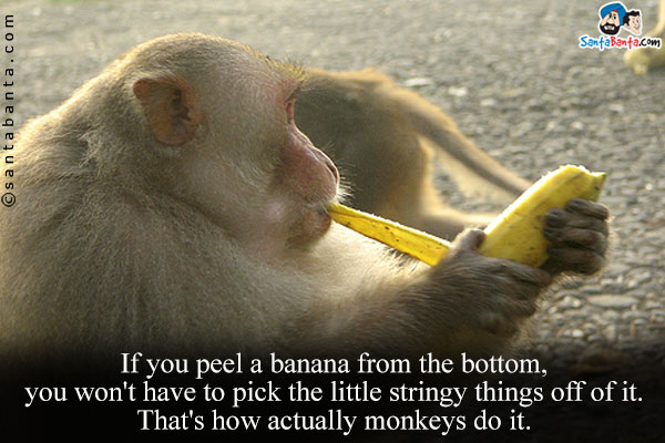 If you peel a banana from the bottom, you won't have to pick the little stringy things off of it. That's how actually monkeys do it.