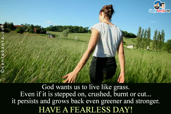 God wants us to live like grass. Even if it is stepped on, crushed, burnt or cut... it persists and grows back even greener and stronger.<br />
Have a fearless day!