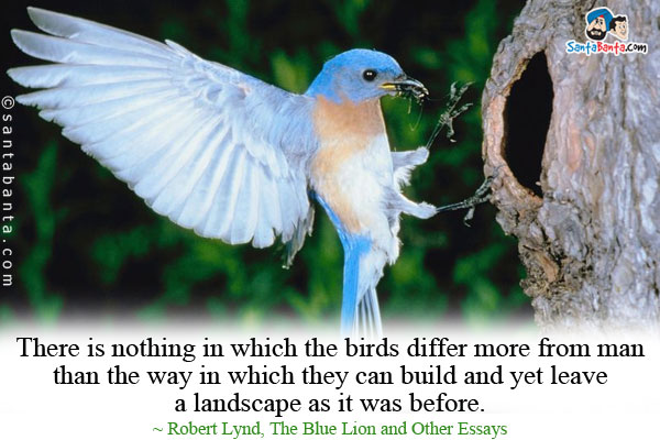 There is nothing in which the birds differ more from man than the way in which they can build and yet leave a landscape as it was before.