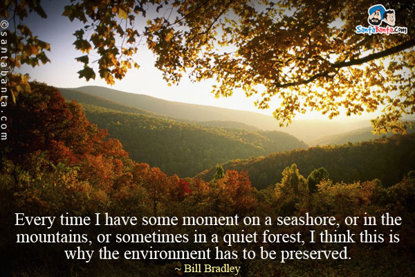 Every time I have some moment on a seashore, or in the mountains, or sometimes in a quiet forest, I think this is why the environment has to be preserved.