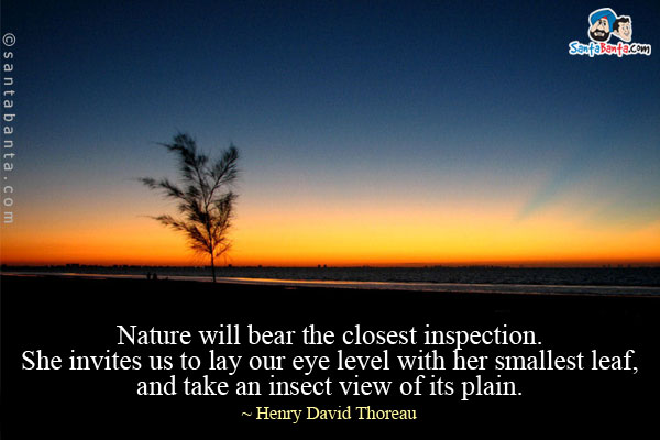 Nature will bear the closest inspection. She invites us to lay our eye level with her smallest leaf, and take an insect view of its plain.