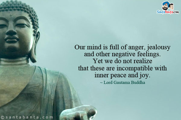 Our mind is full of anger, jealousy and other negative feelings. Yet we do not realize that these are incompatible with inner peace and joy.