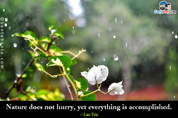 Nature does not hurry, yet everything is accomplished.