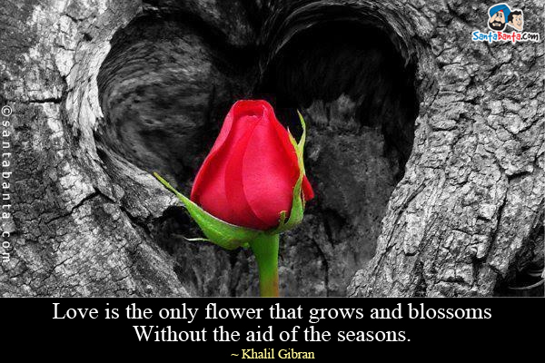 Love is the only flower that grows and blossoms Without the aid of the seasons.