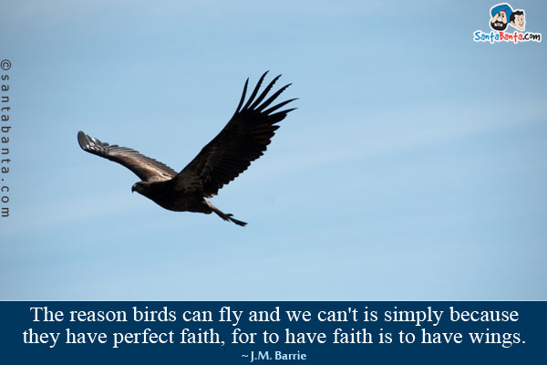 The reason birds can fly and we can't is simply because they have perfect faith, for to have faith is to have wings.