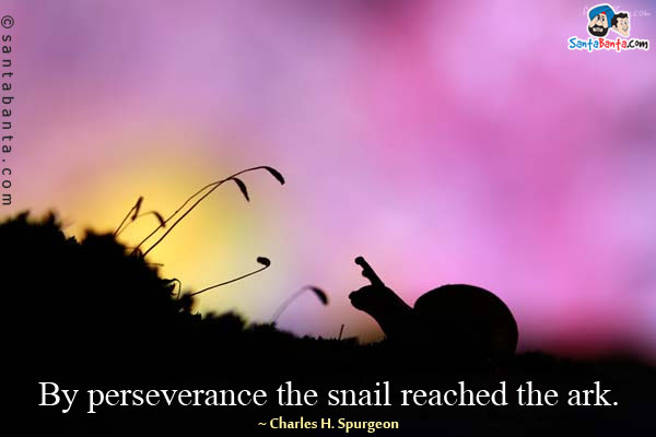 By perseverance the snail reached the ark.