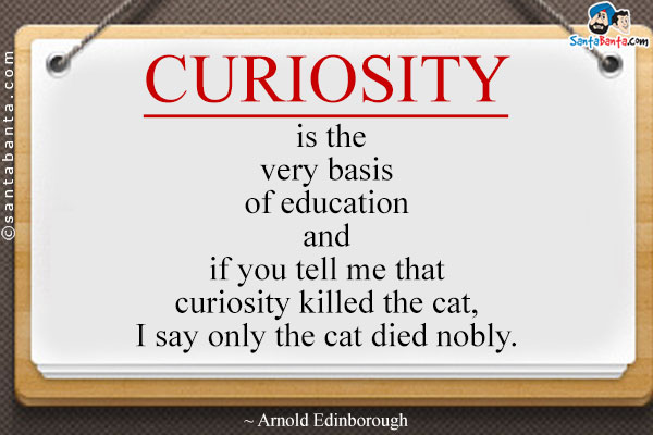 Curiosity is the very basis of education and if you tell me that curiosity killed the cat, I say only the cat died nobly.