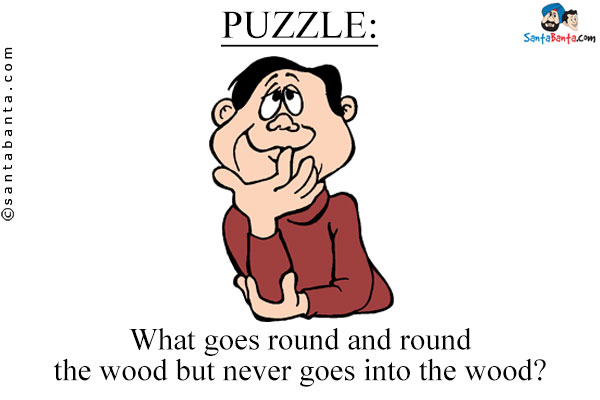 What goes round and round the wood but never goes into the wood? 