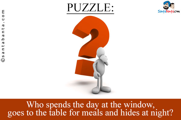 Who spends the day at the window, goes to the table for meals and hides at night?