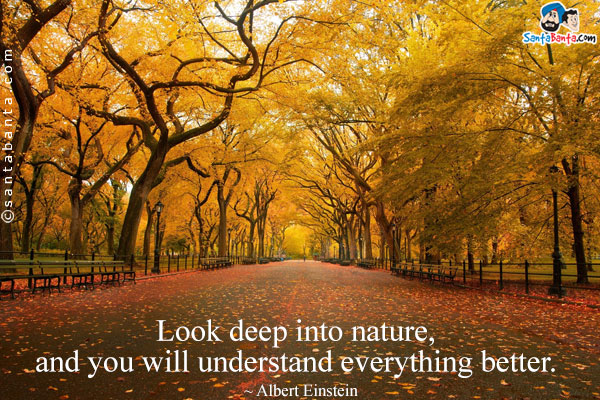 Look deep into nature, and you will understand everything better.