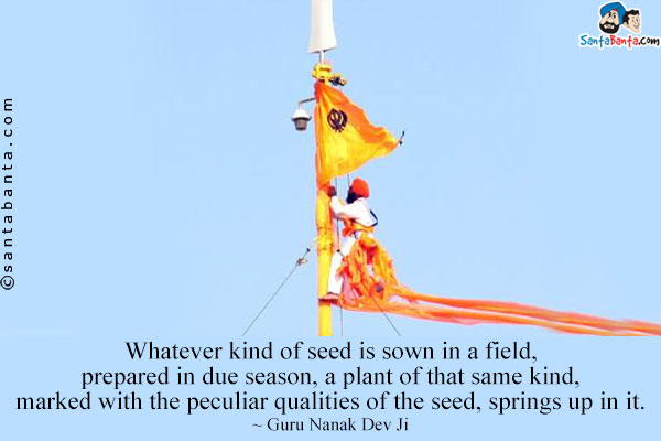 Whatever kind of seed is sown in a field, prepared in due season, a plant of that same kind, marked with the peculiar qualities of the seed, springs up in it.