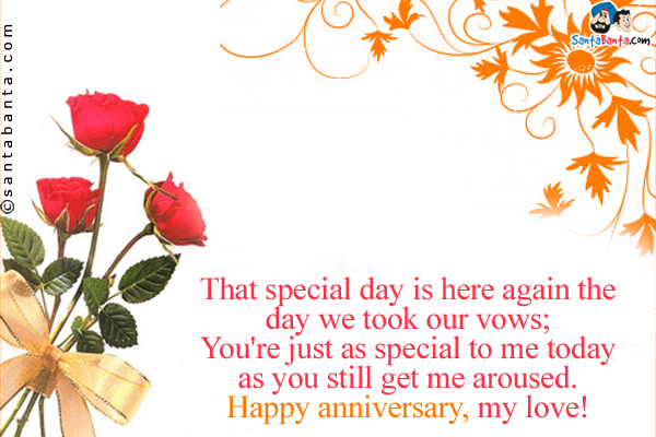 That special day is here again the day we took our vows;<br/>
You're just as special to me today as you still get me aroused.<br/> 
Happy anniversary, my love!