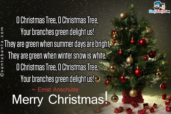 O Christmas Tree, O Christmas Tree,<br/>
Your branches green delight us!<br/>
They are green when summer days are bright,<br/>
They are green when winter snow is white.<br/>
O Christmas Tree, O Christmas Tree,<br/>
Your branches green delight us!<br/>
~ Ernst Anschütte<br/>
Merry Christmas!