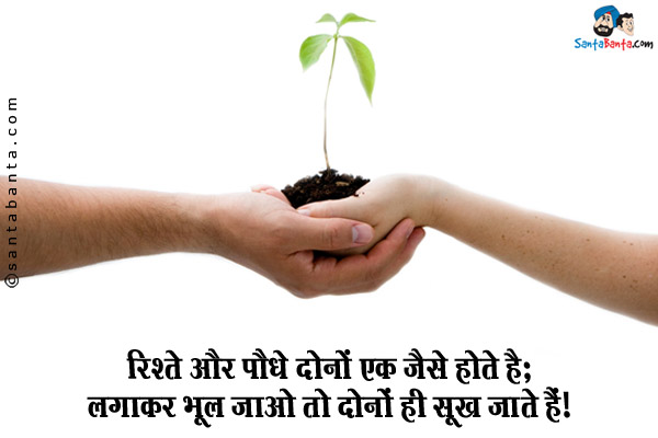 रिश्ते और पौधे दोनों एक जैसे होते हैं;<br/>
लगाकर भूल जाओ तो दोनों ही सूख जाते हैं।