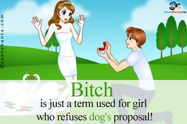 Bitch is just a term used for girl who refuses dog's proposal!