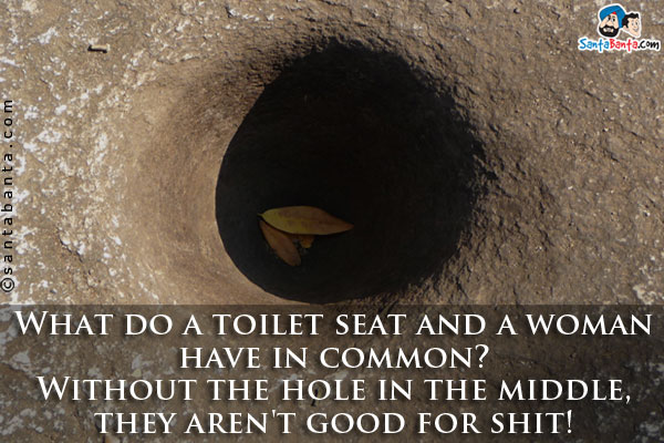 What do a toilet seat and a woman have in common?<br/>
Without the hole in the middle, they aren't good for shit!