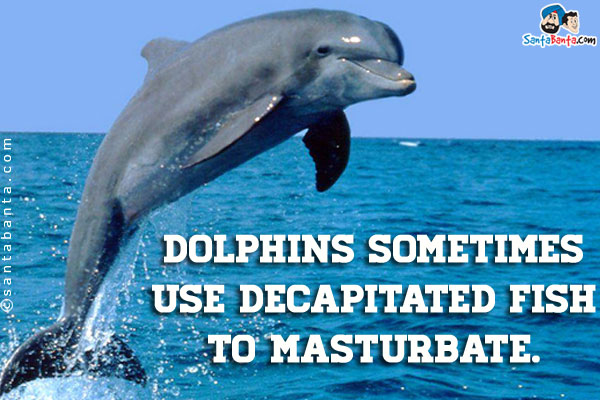 Dolphins sometimes use decapitated fish to masturbate.