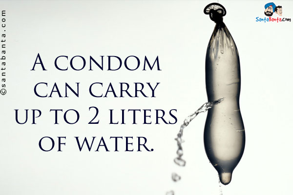 A condom can carry up to 2 liters of water.