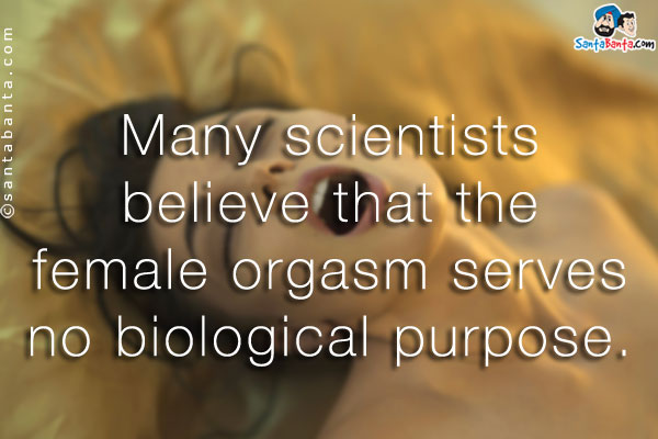 Many scientists believe that the female orgasm serves no biological purpose.