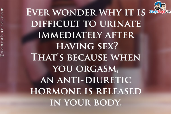 Ever wonder why it is difficult to urinate immediately after having sex? That's because when you orgasm, an anti-diuretic hormone is released in your body.