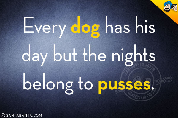 Every dog has his day but the nights belong to pusses.