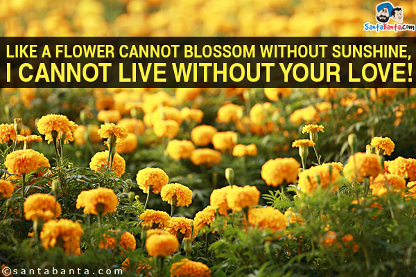 Like a flower cannot blossom without sunshine, I cannot live without your love!