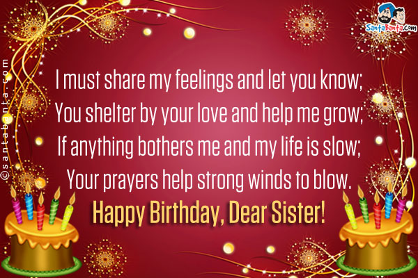 I must share my feelings and let you know;<br/>
You shelter by your love and help me grow;<br/>
If anything bothers me and my life is slow;<br/>
Your prayers help strong winds to blow.<br/>
Happy Birthday, Dear Sister!