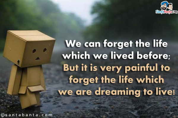 We can forget the life which we lived before;<br/>
But it is very painful to forget the life which we are dreaming to live!