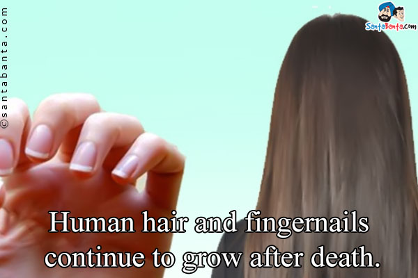 Human hair and fingernails continue to grow after death.