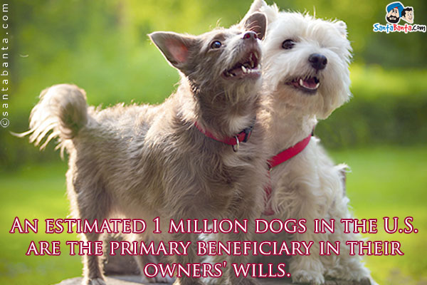 An estimated 1 million dogs in the U.S. are the primary beneficiary in their owners' wills.