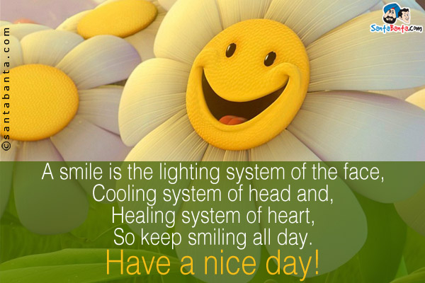 A smile is the lighting system of the face,<br/>
Cooling system of head and,<br/>
Healing system of heart,<br/>
So keep smiling all day.<br/>
Have a nice day!